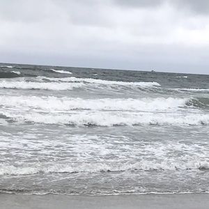 Meet your Posher, Dawn